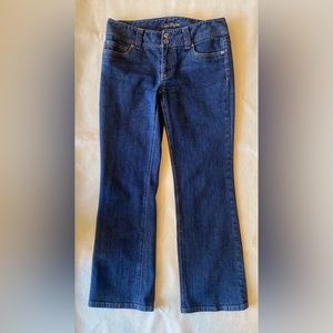 Ann Taylor Modern Fit Lindsey Waist Jeans